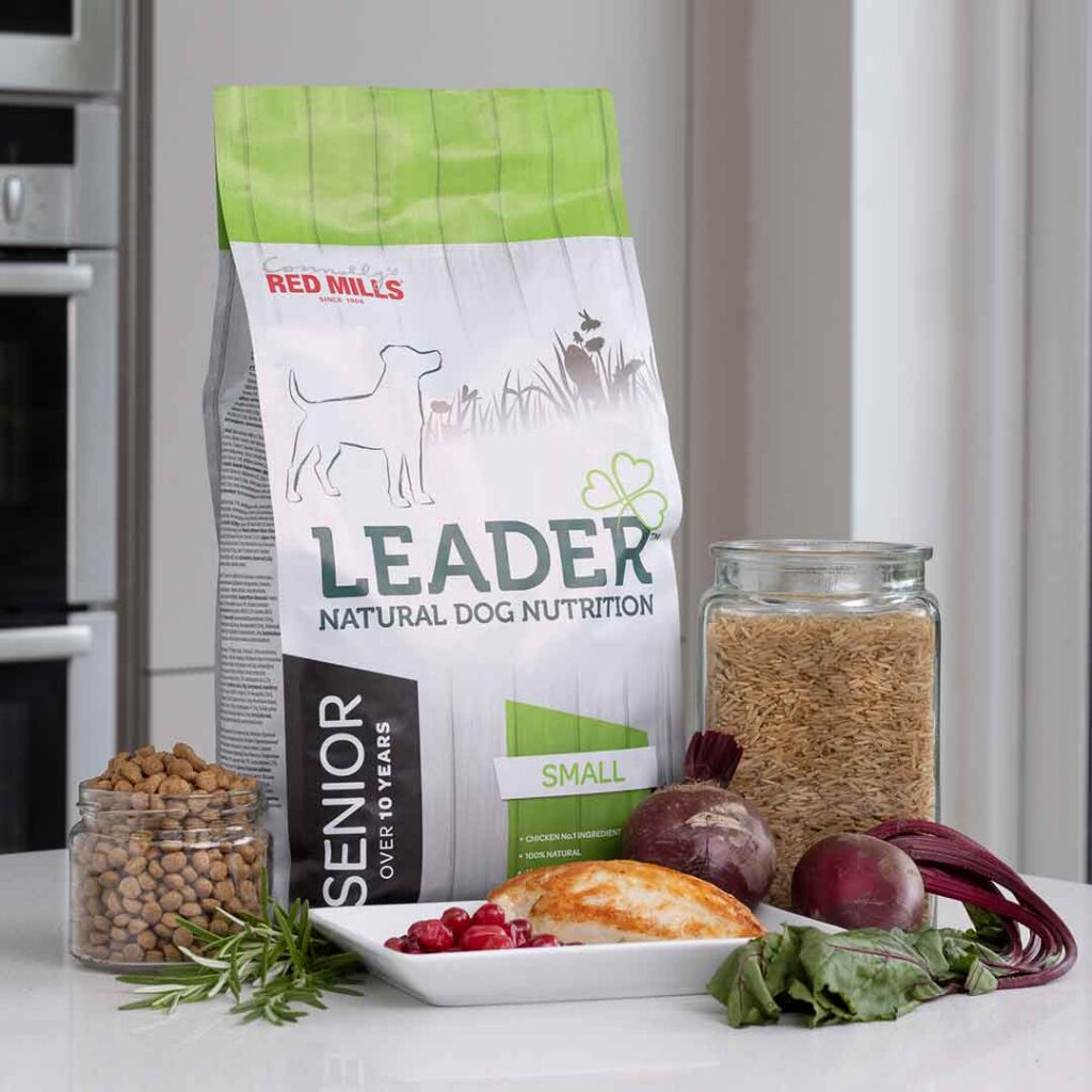 leader, senior,small breed gezonde gewrichten