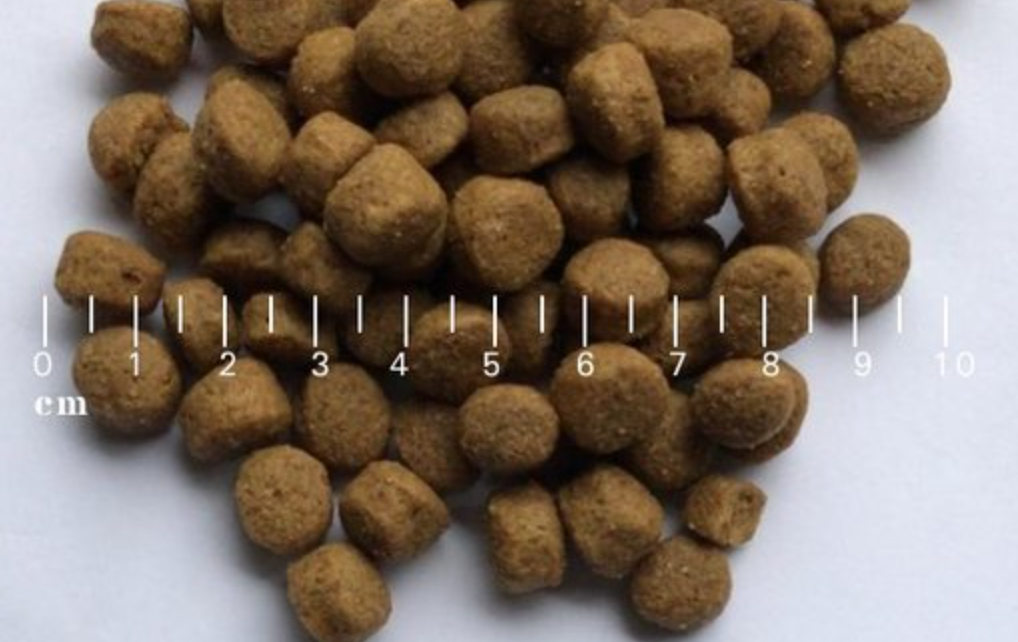 LEADER - Sensitive Lam Medium Breed 12KG - Afbeelding 3