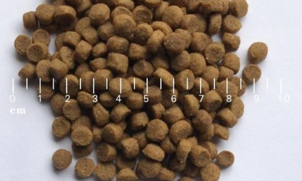 LEADER - Sensitive Salmon Small Breed 6KG - Afbeelding 2