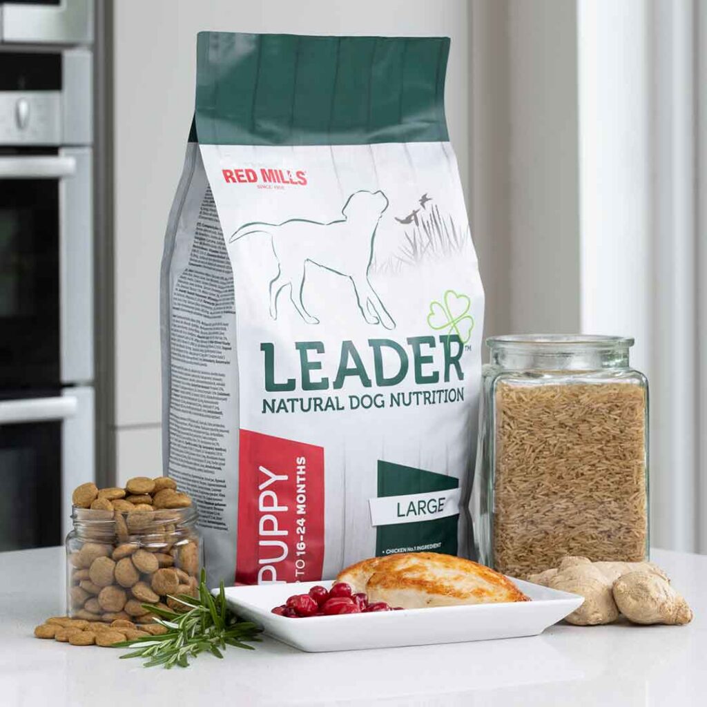 leader, puppy, large breed, kip en rijst