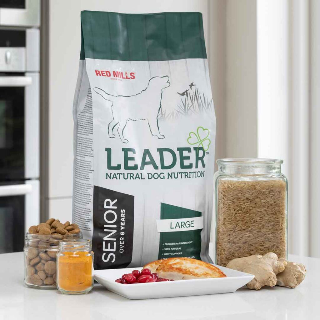 leader, senior large breed gezonde gewrichten