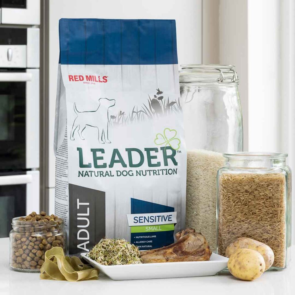 leader, samll breed, lam, huidirritaties, gevoelige spijsvertering