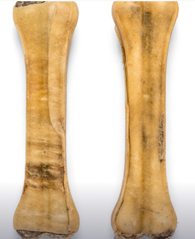 pensbot 21cm